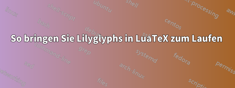So bringen Sie Lilyglyphs in LuaTeX zum Laufen