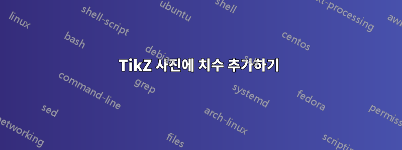 TikZ 사진에 치수 추가하기