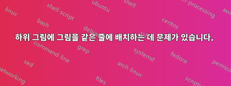 하위 그림에 그림을 같은 줄에 배치하는 데 문제가 있습니다.