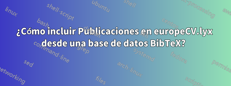 ¿Cómo incluir Publicaciones en europeCV.lyx desde una base de datos BibTeX? 