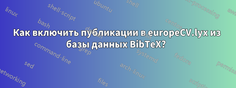 Как включить публикации в europeCV.lyx из базы данных BibTeX? 