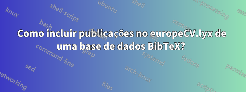 Como incluir publicações no europeCV.lyx de uma base de dados BibTeX? 