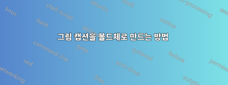 그림 캡션을 볼드체로 만드는 방법