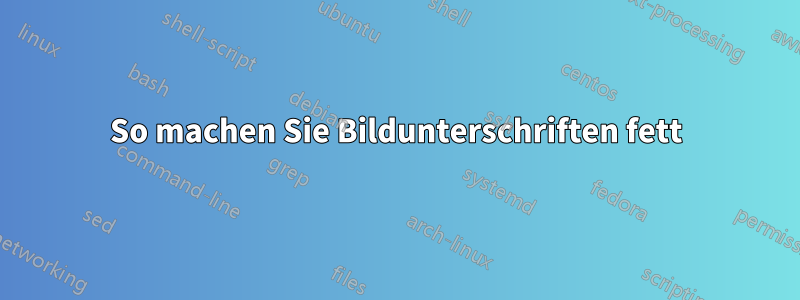 So machen Sie Bildunterschriften fett