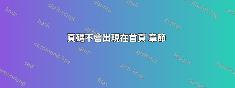 頁碼不會出現在首頁 章節