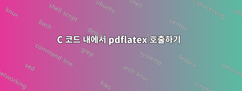 C 코드 내에서 pdflatex 호출하기