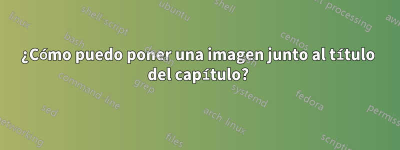 ¿Cómo puedo poner una imagen junto al título del capítulo?