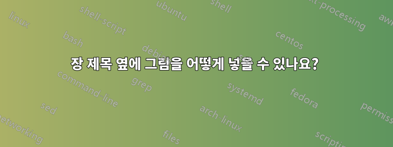 장 제목 옆에 그림을 어떻게 넣을 수 있나요?