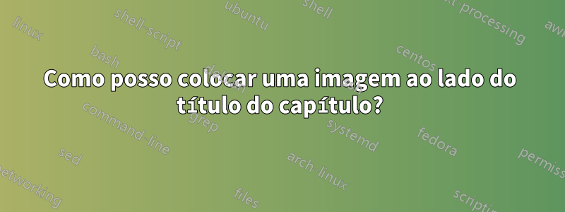 Como posso colocar uma imagem ao lado do título do capítulo?