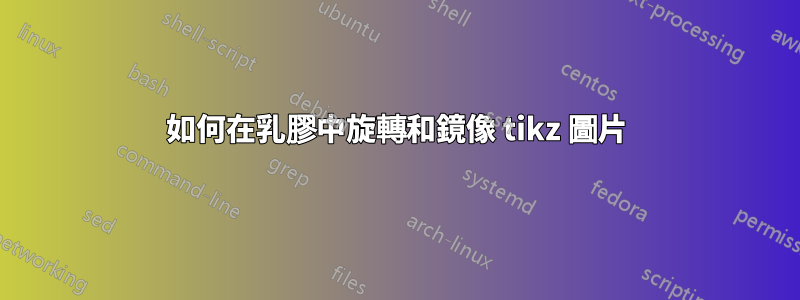 如何在乳膠中旋轉和鏡像 tikz 圖片