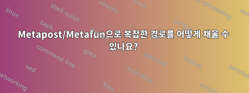 Metapost/Metafun으로 복잡한 경로를 어떻게 채울 수 있나요?