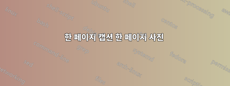 한 페이지 캡션 한 페이지 사진
