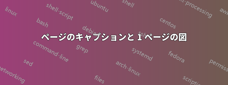 1 ページのキャプションと 1 ページの図
