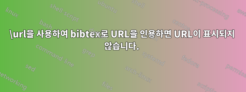 \url을 사용하여 bibtex로 URL을 인용하면 URL이 표시되지 않습니다.
