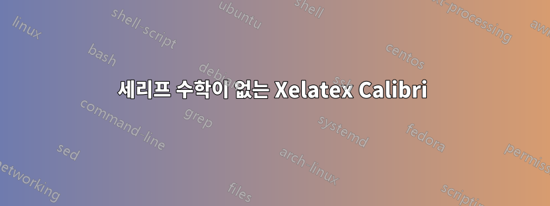세리프 수학이 없는 Xelatex Calibri