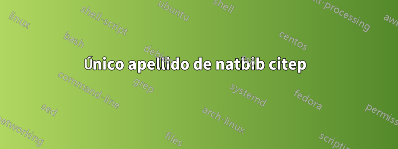 Único apellido de natbib citep 