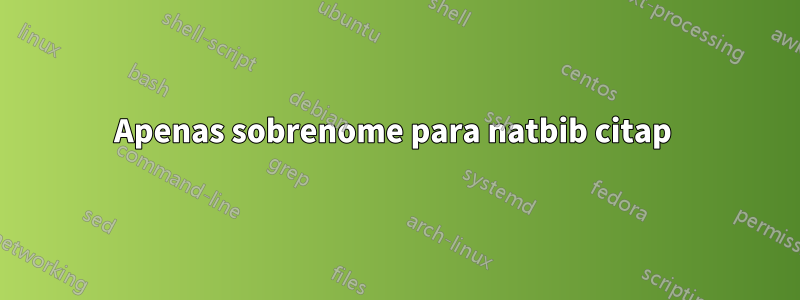 Apenas sobrenome para natbib citap