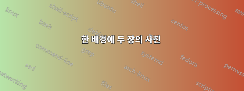 한 배경에 두 장의 사진