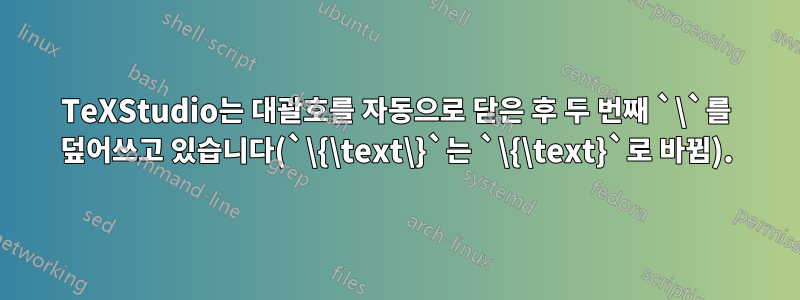 TeXStudio는 대괄호를 자동으로 닫은 후 두 번째 `\`를 덮어쓰고 있습니다(`\{\text\}`는 `\{\text}`로 바뀜).