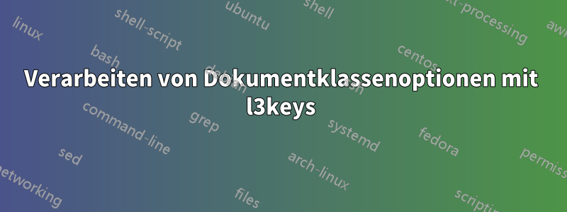 Verarbeiten von Dokumentklassenoptionen mit l3keys