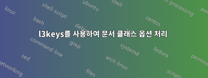 l3keys를 사용하여 문서 클래스 옵션 처리