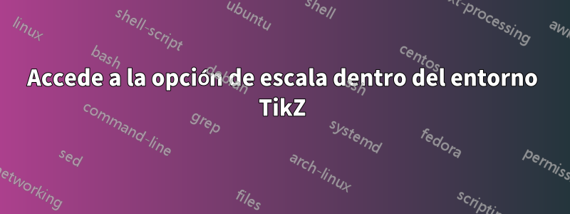 Accede a la opción de escala dentro del entorno TikZ