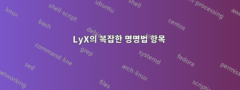 LyX의 복잡한 명명법 항목