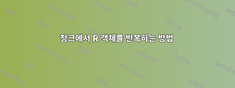 청크에서 R 객체를 반복하는 방법