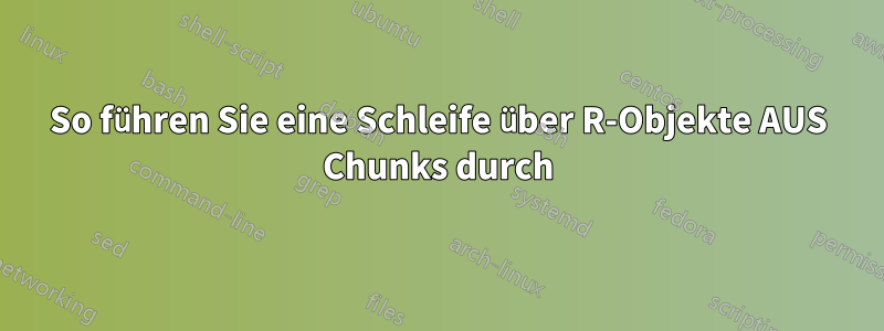 So führen Sie eine Schleife über R-Objekte AUS Chunks durch