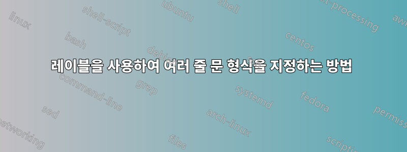 레이블을 사용하여 여러 줄 문 형식을 지정하는 방법