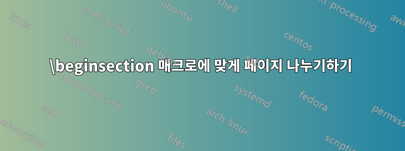 \beginsection 매크로에 맞게 페이지 나누기하기