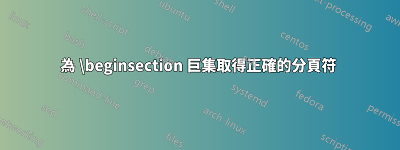 為 \beginsection 巨集取得正確的分頁符