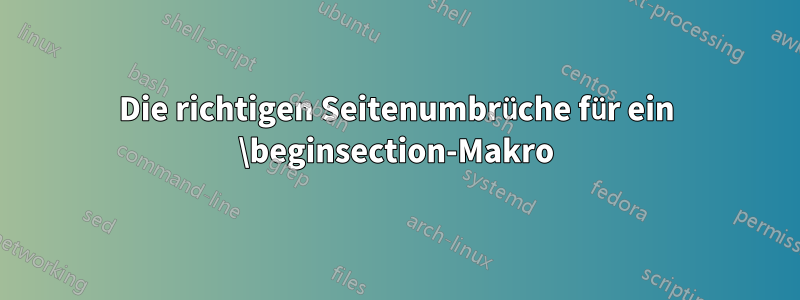 Die richtigen Seitenumbrüche für ein \beginsection-Makro