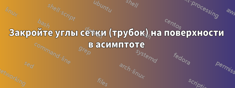 Закройте углы сетки (трубок) на поверхности в асимптоте