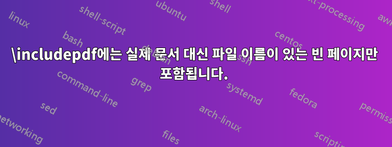 \includepdf에는 실제 문서 대신 파일 이름이 있는 빈 페이지만 포함됩니다.