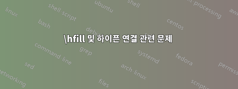 \hfill 및 하이픈 연결 관련 문제