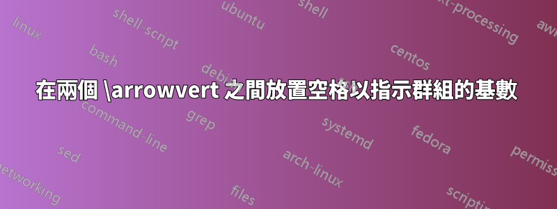 在兩個 \arrowvert 之間放置空格以指示群組的基數