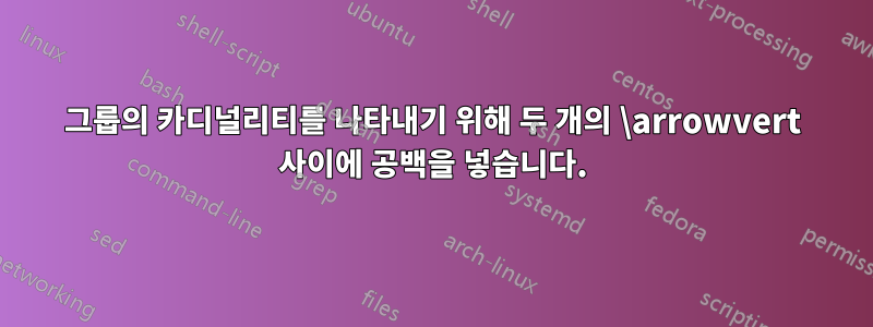 그룹의 카디널리티를 나타내기 위해 두 개의 \arrowvert 사이에 공백을 넣습니다.