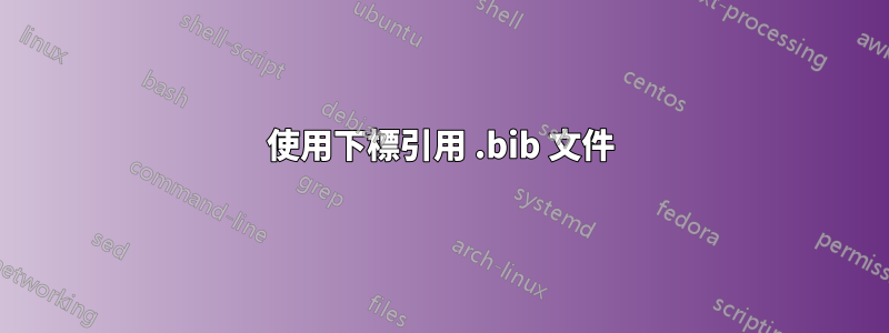 使用下標引用 .bib 文件