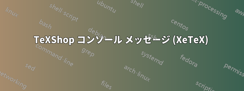 TeXShop コンソール メッセージ (XeTeX)