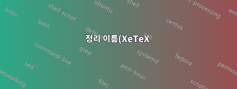 정리 이름(XeTeX)과 관련된 이상한 오류