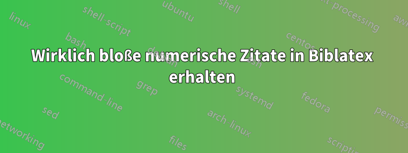 Wirklich bloße numerische Zitate in Biblatex erhalten