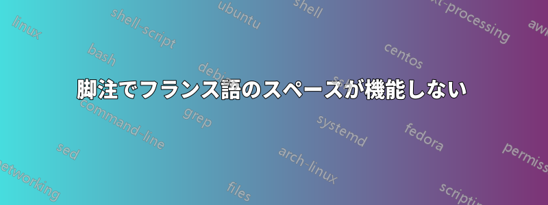 脚注でフランス語のスペースが機能しない