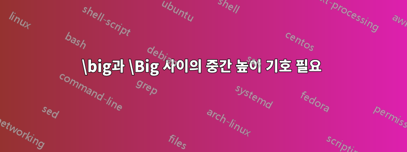 \big과 \Big 사이의 중간 높이 기호 필요