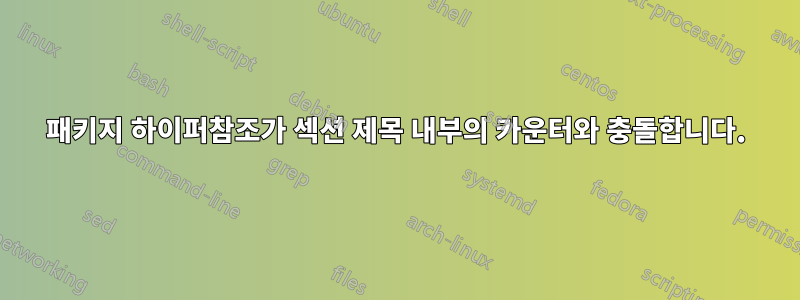 패키지 하이퍼참조가 섹션 제목 내부의 카운터와 충돌합니다.