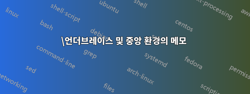 \언더브레이스 및 중앙 환경의 메모