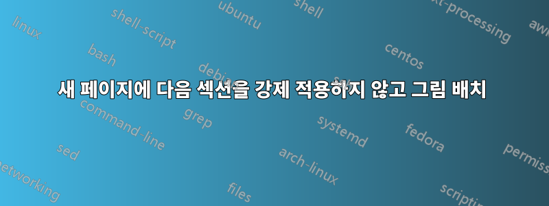 새 페이지에 다음 섹션을 강제 적용하지 않고 그림 배치