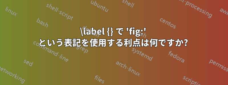 \label {} で 'fig:' という表記を使用する利点は何ですか?