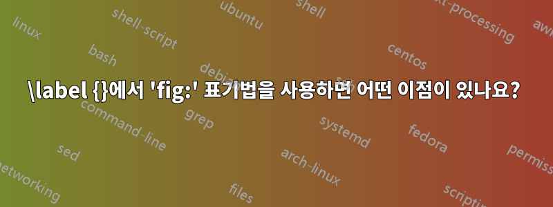 \label {}에서 'fig:' 표기법을 사용하면 어떤 이점이 있나요?