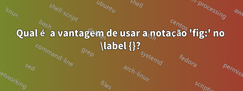 Qual é a vantagem de usar a notação 'fig:' no \label {}?